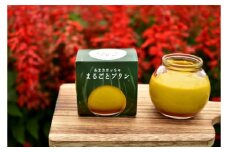 No.097 ［周南やさい★まるごとシリーズ］”あまカボッちゃ”まるごとプリン ／ スイーツ 野菜プリン かぼちゃ 山口県 特産品