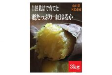 No.139 自然栽培で育てた蜜たっぷり紅はるか　☆超熟成済☆ 約3kg ／ お芋 イモ トロトロ 山口県
