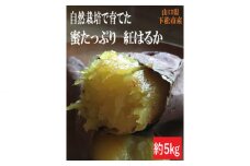 No.142 自然栽培で育てた蜜たっぷり紅はるか　☆超熟成済☆ 約5kg ／ お芋 イモ トロトロ 山口県