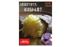 No.143 自然栽培で育てた蜜たっぷり紅はるか＆紫芋　☆超熟成済☆ 約5kg ／ お芋 イモ トロトロ 山口県