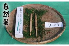 No.173 自然薯　B-08 ／ じねんじょ 芋 粘り 山口県
