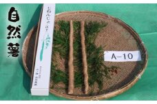 No.174 自然薯　A-10 ／ じねんじょ 芋 粘り 山口県