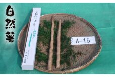No.177 自然薯　A-15 ／ じねんじょ 芋 粘り 山口県