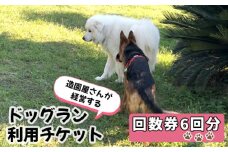 No.183 ドッグラン利用チケット　回数券6回分 ／ 愛犬 ペット 運動 カフェ 山口県