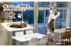 No.201 デザートセットチケット1枚 ／ hinacafe 猫カフェ スイーツ ドリンク 保護猫 遊び 触れ合い 写真撮影 まったり 癒し 山口県