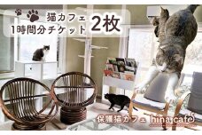 No.202 猫ルーム1時間利用チケット2枚 ／ hinacafe 猫カフェ 保護猫 遊び 触れ合い 写真撮影 まったり 癒し 山口県