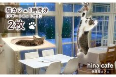 No.204 デザートセットチケット2枚 ／ hinacafe 猫カフェ スイーツ ドリンク 保護猫 遊び 触れ合い 写真撮影 まったり 癒し 山口県