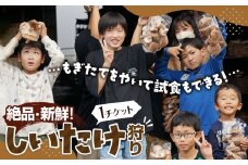 No.207 【★絶品・新鮮★しいたけ狩り！】もぎたてを焼いて試食もできるしいたけ狩り！ファミリー・女性・カップルに◎♪ ／ 体験チケット 収穫体験 レジャー 椎茸 シイタケ ハウス内 雨天可 山口県