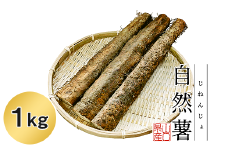 Agrimottoの「自然薯」１kg