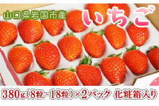 山口県岩国市産「いちご」2パック（1パック380g（8粒～18粒）×2）化粧箱入り ※プラス個包装2個