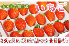 山口県岩国市産「いちご」2パック（1パック380g（8粒～18粒）×2）化粧箱入り ※プラス個包装2個