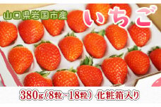 山口県岩国市産「いちご」1パック 380g（8粒～18粒）化粧箱入り