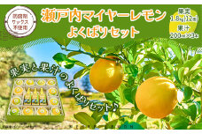瀬戸内マイヤーレモン よくばりセット 果実 果汁 食べ比べ 飲み比べ 化粧箱入り レモン オレンジ 交配 品種 果汁 100％ ジュース お酒 ドレッシング おすすめ 檸檬 れもん 柑橘 みかん 蜜柑 フルーツ