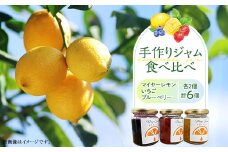 無添加 手作りジャム 6個 食べ比べ (いちご ブルーベリー マイヤーレモン 各2個入り）