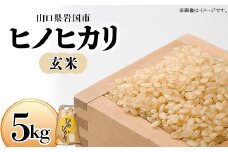 山口県岩国産 玄米(ヒノヒカリ) 5kg【yama-moto-farm(株)】