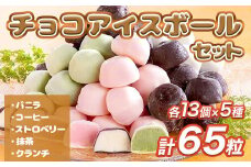 A002 チョコアイスボールセット（65粒入） 5種類×13個 バニラ ストロベリー コーヒー クランチ 抹茶
