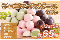 A002 チョコアイスボールセット（65粒入） 5種類×13個 バニラ ストロベリー コーヒー クランチ 抹茶