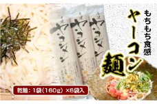 AF02 ヤーコン麺 6袋 1袋 160g（約2人前） もちもち食感 食物繊維