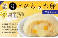 AL01 月でひろった卵 2箱セット（光市限定パッケージ） 6個×2箱 光市限定 あさひ製菓 カステラ カスタード 菓子