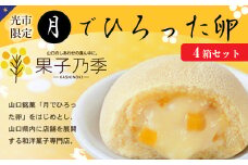 AL02 月でひろった卵 4箱セット（光市限定パッケージ） 6個×4箱 光市限定 あさひ製菓 カステラ カスタード 菓子
