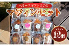 E003 ベリーズギフトBOX マフィンセット 12個 詰め合わせ