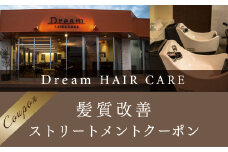 AV01 Dream HAIR CARE 髪質改善ストリートメントクーポン
