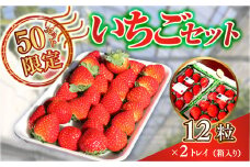 E007 光市産いちご 「ひかりのルビー」いちご （12粒×2パック）約600g 50セット限定 