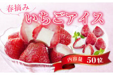 A010 春摘み いちごアイス（50粒） 金賞受賞 一口アイス 苺 アイス