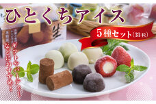 A014 ひとくちアイス5種セット（33粒） 一口アイス 苺 アイス 生チョコ バニラ コーヒー 抹茶