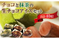 A016 チョコと抹茶の生チョコアイスセット（40粒） 一口アイス ギフト 贈り物