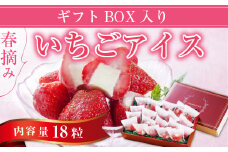 A011 春摘み いちごアイス（18粒）ギフトBOX入り 一口アイス 苺 アイス