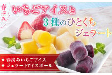 A012 春摘み いちごアイスと3種のひとくちジェラート（41粒） マンゴー グレープ ピーチ 一口アイス 苺 アイス