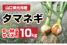 BJ001 光市産タマネギ 10kg S～Mサイズ ※2024年4月から順次発送予定