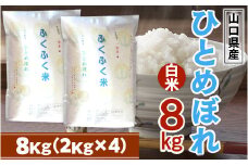 BM001 山口県産 ひとめぼれ 8kg 米 精米