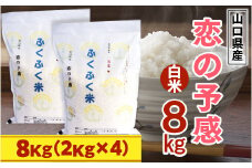 BM002 山口県産 恋の予感 8kg 米 精米