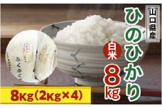 BM003 山口県産 ひのひかり 8kg 米 精米