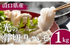 BP001 光の骨切り鱧