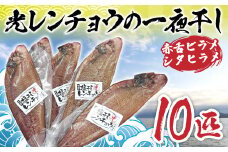 BQ001 光レンチョウの一夜干し（赤舌ビラメ・シタヒラメ）10匹セット