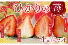E014 ひかりの苺 （ルビー）4品種セット 1kg 2025年1月から4品種そろい次第順次発送 1000g やよいひめ おおきみ おいCベリー もういっこ イチゴ いちご 4パック 詰め合わせ 食べ比べ 山口県産