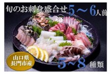 旬のお刺身盛り合わせ 5～6人前【刺身 冷蔵 盛り合わせ 刺身盛り合わせ 仙崎 地魚 新鮮 配達不可エリア有り 新潟  関東 東北 北海道 沖縄 配達不可 配送日時指定可能】