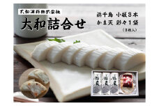大和かまぼこ詰め合わせ【かまぼこ 蒲鉾 詰め合わせ カマボコ セット 天ぷら 練り物 鮮魚 エソ 焼抜き蒲鉾 仙崎 浜千鳥 大和蒲鉾 贈り物 山口県 長門市】