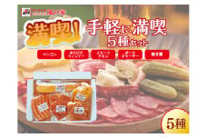 手軽に満喫5種 詰め合わせ ギフト Bセット 日置 ベーコン ウインナー 詰合せ ジャーキー 贈り物 長門市 おつまみ BBQ 手作り