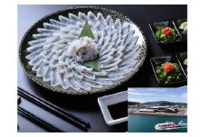青海島観光汽船乗船券2名様分と山口県産とらふぐ刺身（冷凍）【ふぐ刺身 ふぐ ふぐ刺し ふぐさし 河豚 フグ とらふぐ 体験チケット】