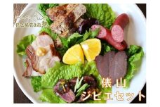 ジビエ料理3点セット（猪肉塩こうじ漬け・鹿肉塩こうじ漬け・猪ウインナー）【ジビエ 鹿肉 猪肉 塩こうじ ウインナー しかにく いのしし 簡単調理 ヘルシー 冷凍】