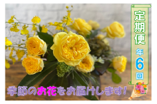 長門産 季節のお花の定期便（年6回毎月コース）