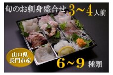 「旬のお刺身盛合せ」地魚 3～4人前 【刺身 盛り合わせ 冷蔵 刺身の盛り合わせ さしみ 仙崎 新鮮 配達不可エリア有り 新潟 関東 東北 北海道 沖縄 配達不可 配送日時指定可能】