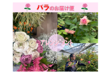 フラワー　花　バラ　バラ園　アレンジメント　お届け便　山口県
