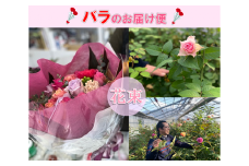 フラワー　花　バラ　バラ園　花束　お届け便　山口県
