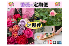 【定期便】バラ花束 藤野バラ園 花束 バラ お届け便 毎月コース 毎月12ヶ月 長門市