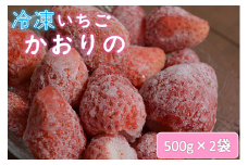 長門産 冷凍いちご【かおりの】500g×2袋 合計1kg